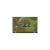 The Lord of the Rings The Two Towers (Xbox, б/у)