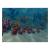 Finding Nemo (GameCube, б/у) Finding Nemo (GameCube, б/у)