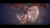 The House of the Dead Remake (PS5, рус.) The House of the Dead Remake (PS5, рус.)