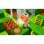 Captain Toad Treasure Tracker (3DS) Captain Toad Treasure Tracker (3DS)