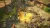 The Dwarves (Xbox One/Series, б/у, рус.) The Dwarves (Xbox One/Series, б/у, рус.)
