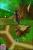 Over the Hedge (DS, б/у)