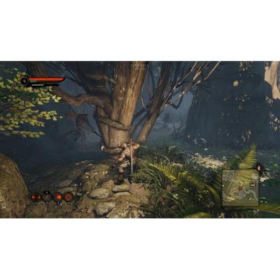 Bound by Flame (PS3, витринный образец)