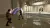 Kinect Star Wars (Xbox 360, рус., витринный образец) Kinect Star Wars (Xbox 360, рус., витринный образец)