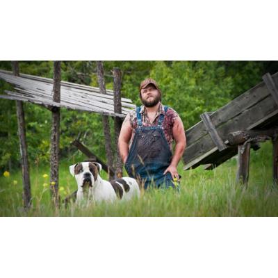 Убойные каникулы (DVD)