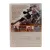 Американец (DVD) Американец (DVD)