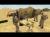 Conflict Desert Storm (Xbox/Xbox 360, б/у) Conflict Desert Storm (Xbox/Xbox 360, б/у)