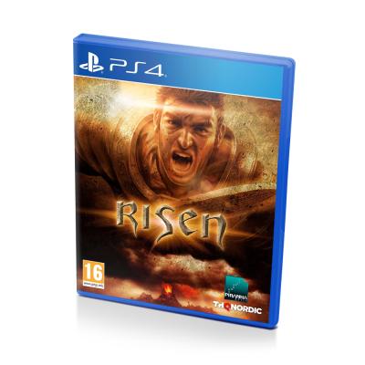 Risen (PS4/PS5, рус., витринный образец)