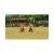 Big Beach Sports (Wii, б/у) (регион PAL) Big Beach Sports (Wii, б/у) (регион PAL)