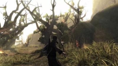 Risen (PS4/PS5, рус., витринный образец)