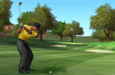 Tiger Woods PGA Tour 2005 (Xbox, б/у)