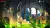 Wonder Boy The Dragons Trap (PS5) Wonder Boy The Dragons Trap (PS5)