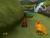 The Land Before Time: Great Valley Racing Adventure (PS1, б/у) The Land Before Time: Great Valley Racing Adventure (PS1, б/у)