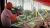 Hitman World of Assassination Signature Edition (Nintendo Switch 2, рус.) Hitman World of Assassination Signature Edition (Nintendo Switch 2, рус.)