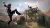 Rage 2 (Xbox One/Series, рус., витринный образец) Rage 2 (Xbox One/Series, рус., витринный образец)