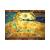 Amazing Adventures The Lost Tomb (PC, DVD, без ключа активации) (б/у)