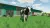 Farming Simulator 22 Platinum Edition (PS5, рус.) Farming Simulator 22 Platinum Edition (PS5, рус.)