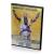 Полтора шпиона (DVD)