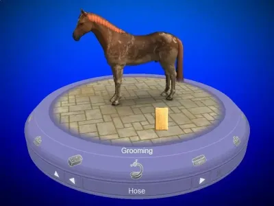 My Horse & Me (Wii)