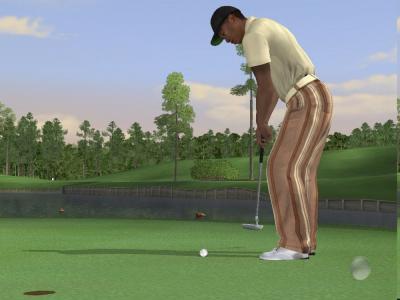 Tiger Woods PGA Tour 06 (Xbox, б/у)