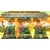 The Beatles Rock Band (Xbox 360, витринный образец) The Beatles Rock Band (Xbox 360, витринный образец)