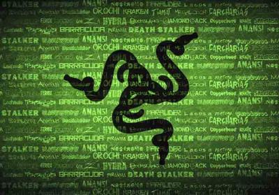 Коврик для мыши Razer надписи 2 (XL)