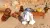 LEGO Star Wars Skywalker Saga (PS5, рус.) LEGO Star Wars Skywalker Saga (PS5, рус.)