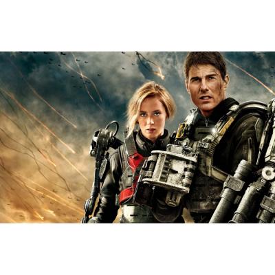 Грань будущего (DVD)