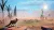 Lost Ember Rekindled Edition Wolf Pack Edition (PS5, рус.)
