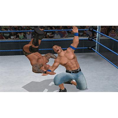WWE SmackDown vs. Raw 2010 (DS, б/у, без бокса)