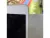 Планшет Apple iPad mini 5 (2019) 64Gb Wi-Fi + Cellular (Silver) (SN: DMPY815VLMT8, б/у) MUX62RU/A Планшет Apple iPad mini 5 (2019) 64Gb Wi-Fi + Cellular (Silver) (SN: DMPY815VLMT8, б/у) MUX62RU/A