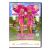 Блондинка и Блондинка (DVD) Блондинка и Блондинка (DVD)