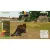 Zoo Tycoon (Xbox 360, б/у, рус.) Zoo Tycoon (Xbox 360, б/у, рус.)