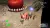 Pikmin 1+2 (Nintendo Switch) Pikmin 1+2 (Nintendo Switch)