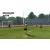 PES 2013 Pro Evolution Soccer (Xbox 360, б/у, рус., множ. царап. устанавливается на 100%) PES 2013 Pro Evolution Soccer (Xbox 360, б/у, рус., множ. царап. устанавливается на 100%)